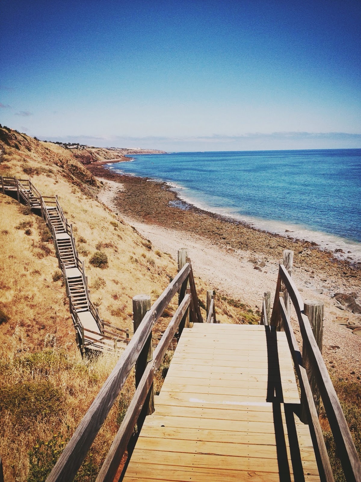 Dogfriendly Parks & Walks in Adelaide Australian Dog Lover