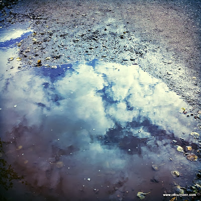 Reflections in a puddle
