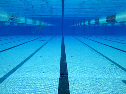 swimming underwater pool olympic labour calgary open ty posted sally links pm comments