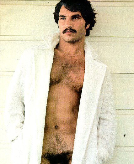 70s Playgirl Models I Would Like to Wrestle: Enriched and Fluffed Up Edition
