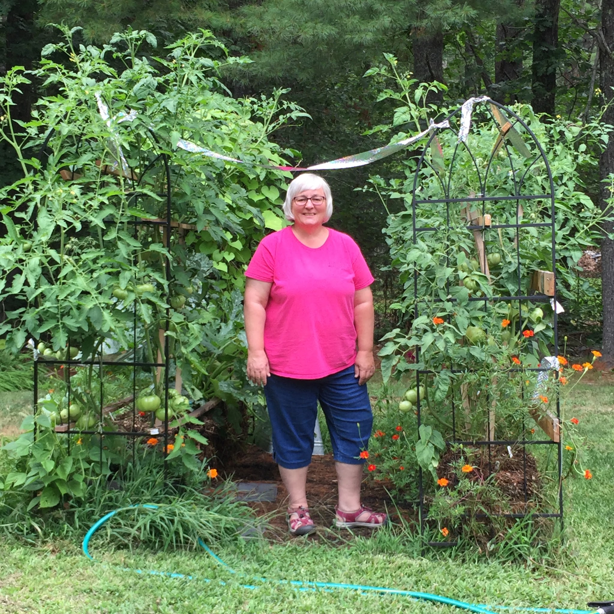 Northdixie Designs Day 2 of 31 Days of Posting Straw Bale Gardening