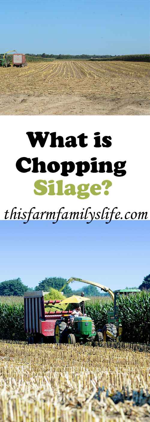 what is chopping silage?