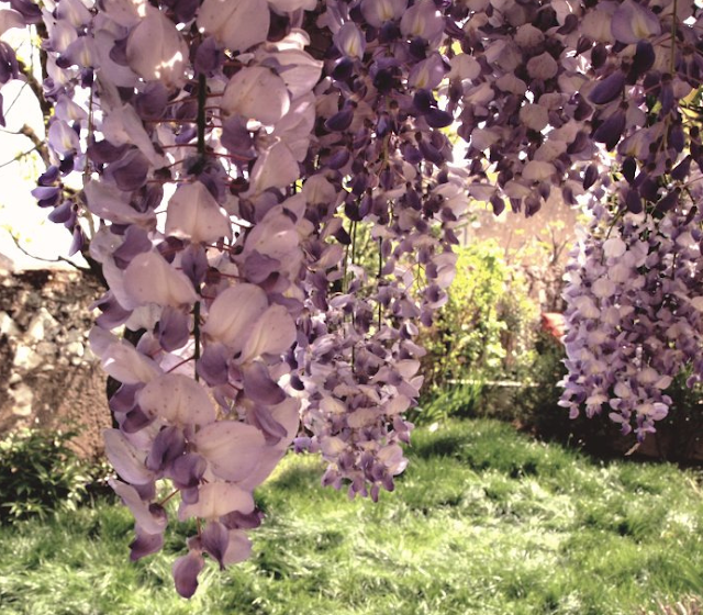 The Lovely Corporation Circumstantial evidence is occasionally very