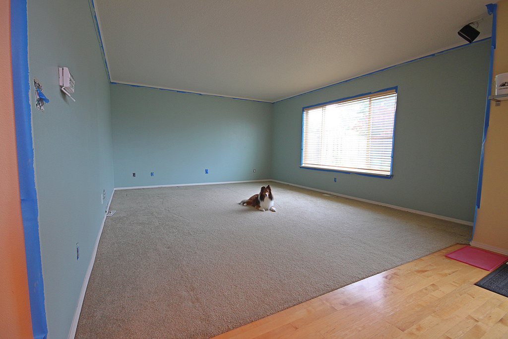 Pros and Cons of Laminate Flooring Vs Carpet Flooring