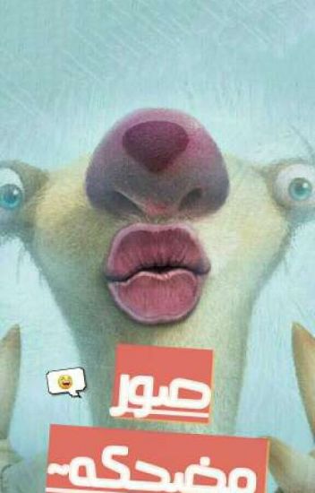 اجمل الصور المضحكة في العالم 2013