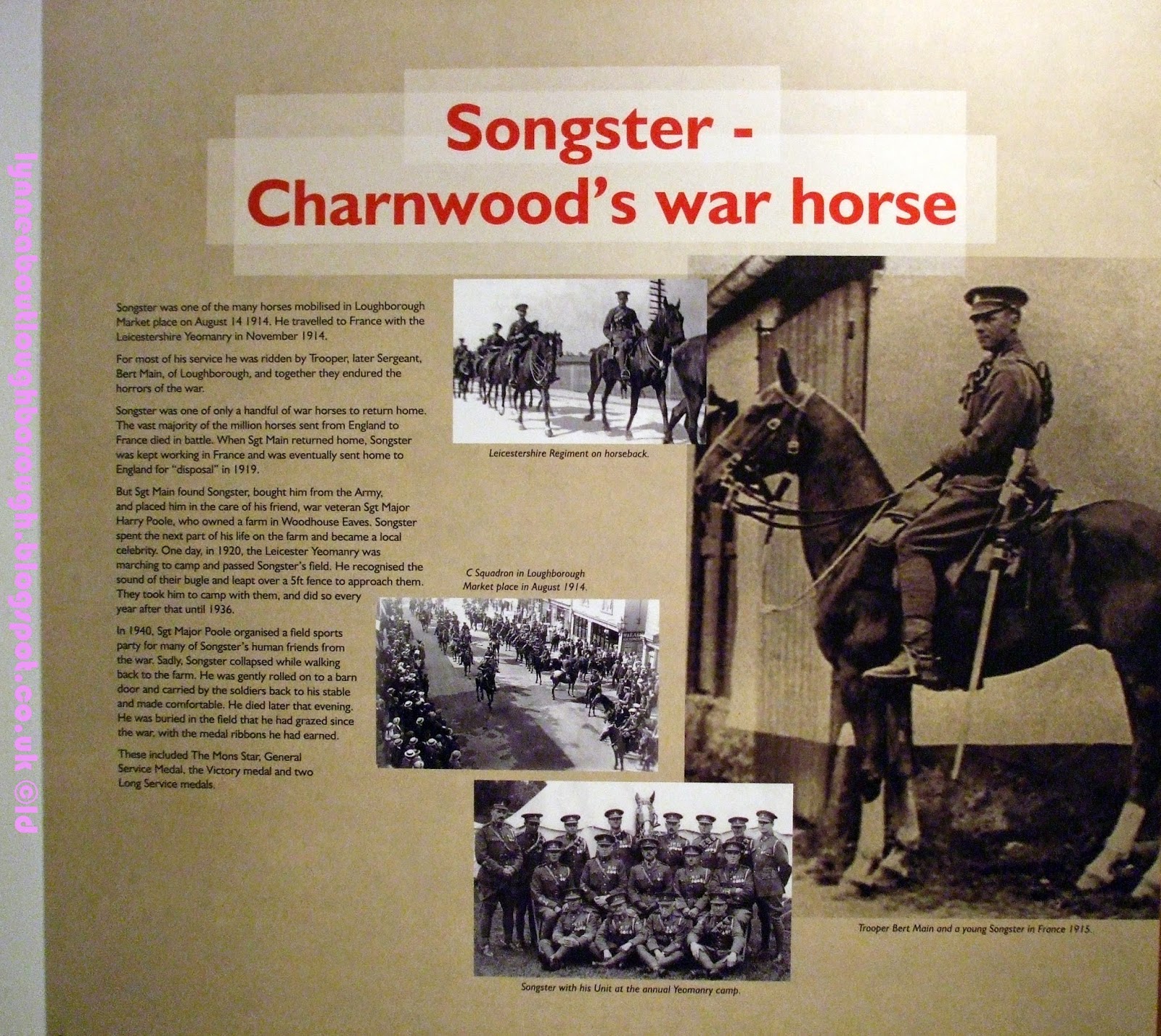 Lynne About Loughborough A horse, a horse, my kingdom for a horse