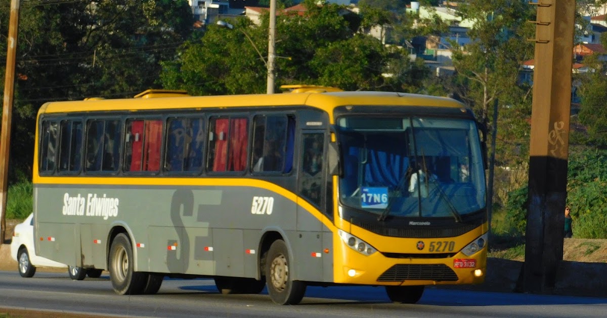 ONIBUS DIVERSOS 1 VIAÇÃO SANTA EDWIGES