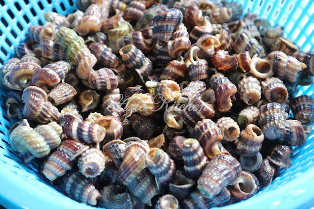 Siput Sedut Masak Lemak Cili Api 