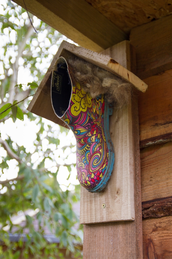 NestBoxTech: Up-cycled welly-boot bird nest site