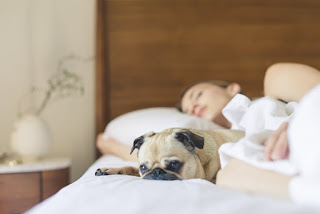stay cool How to Sleep Better- Simple Steps to You'll Be Sleeping Better With These Tips: