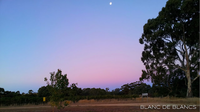 Auringonlasku Barossa Valleyssä - www.blancdeblancs.fi