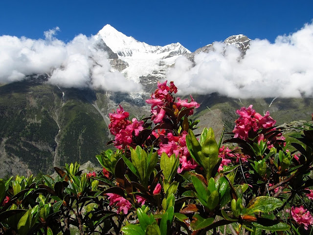 Tour de Monte Rosa zdjęcia Tour de Monte Rosa zdjęcia