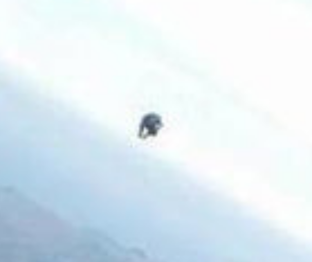 Hawke's Bay UFO as seen by a pilot over New Zealand.