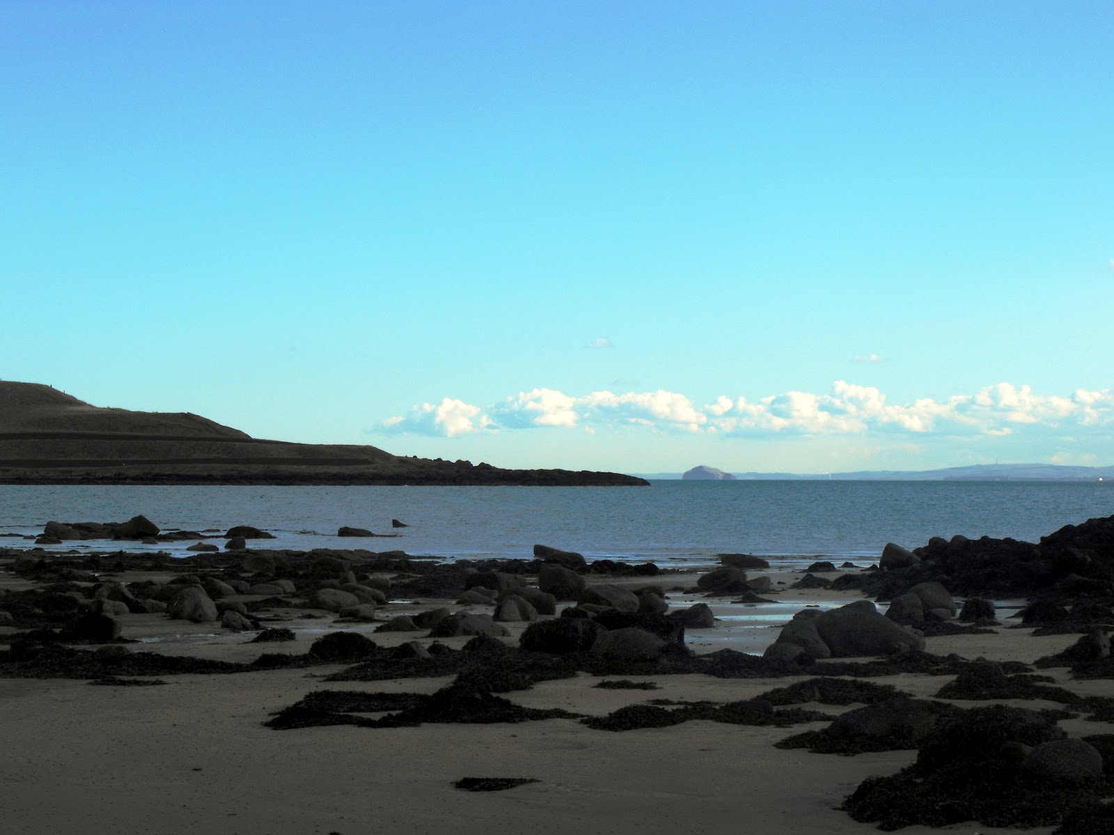 Largo Baywatch: Shell Bay and Ruddons Point