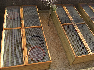 Rèptils Martínez & Lladó : Cajones para tortugas terminados.