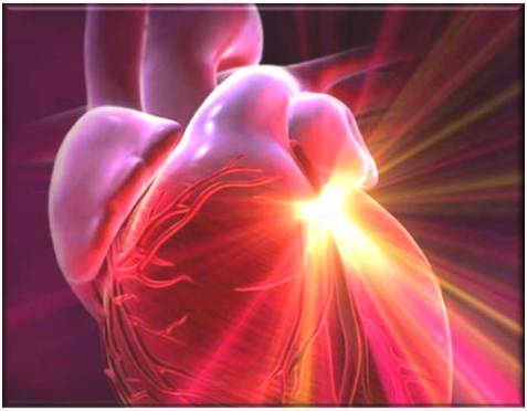Doença vascular periférica de teste de Buerger