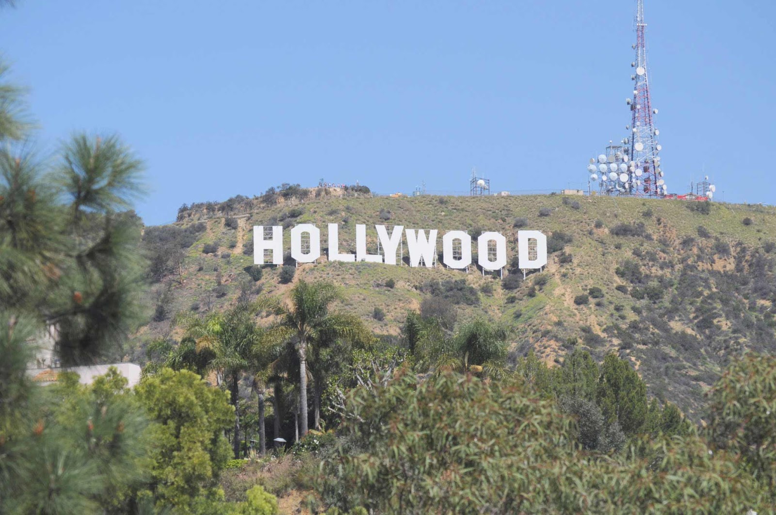 Un sendero de estrellas en Hollywood | Una antología de aventuras