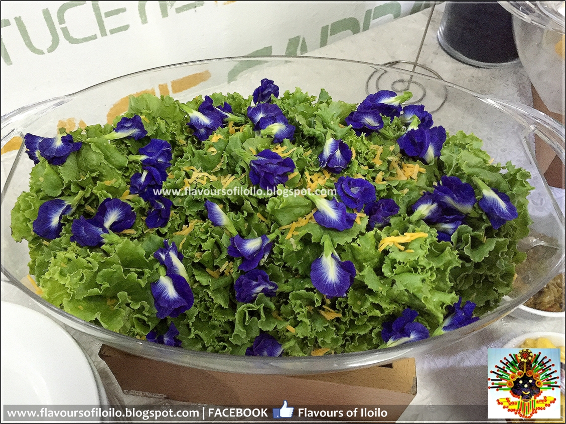 Blue Ternate Salad and more at Orchard Valley Farm
