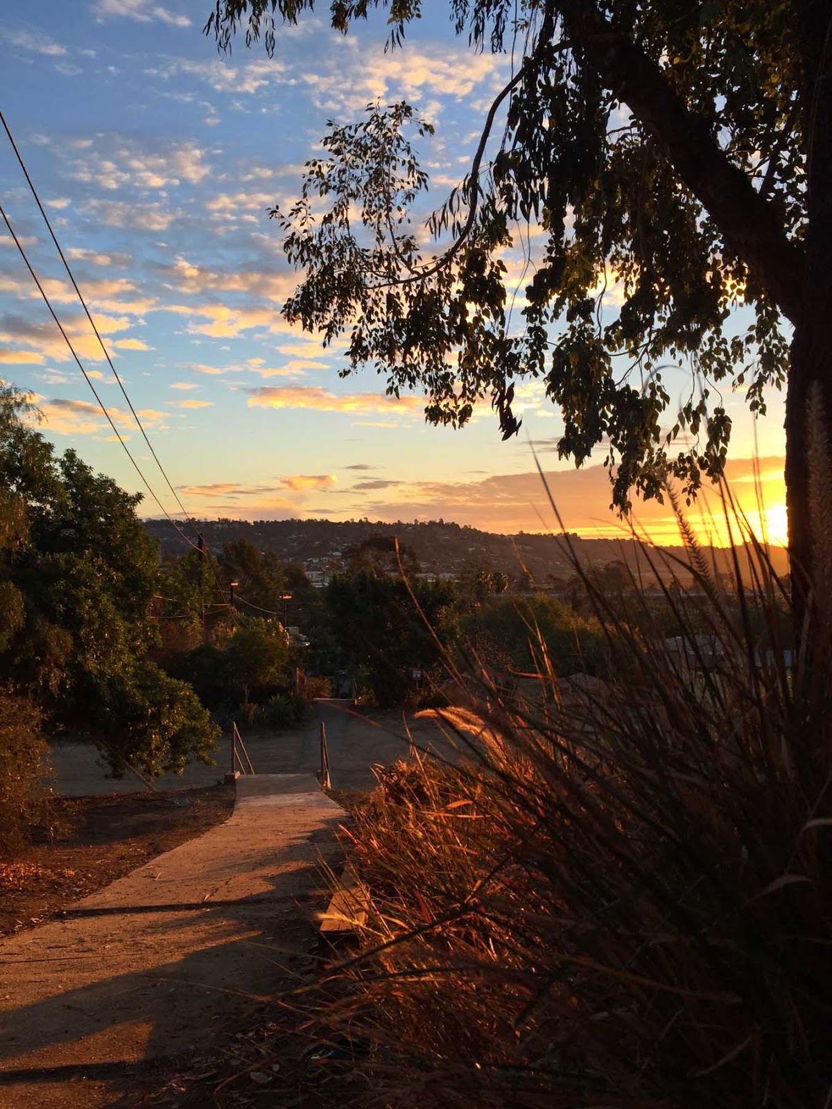 Corralitas Red Car Property Silver Lake Ave Public Staircase Dawn Today