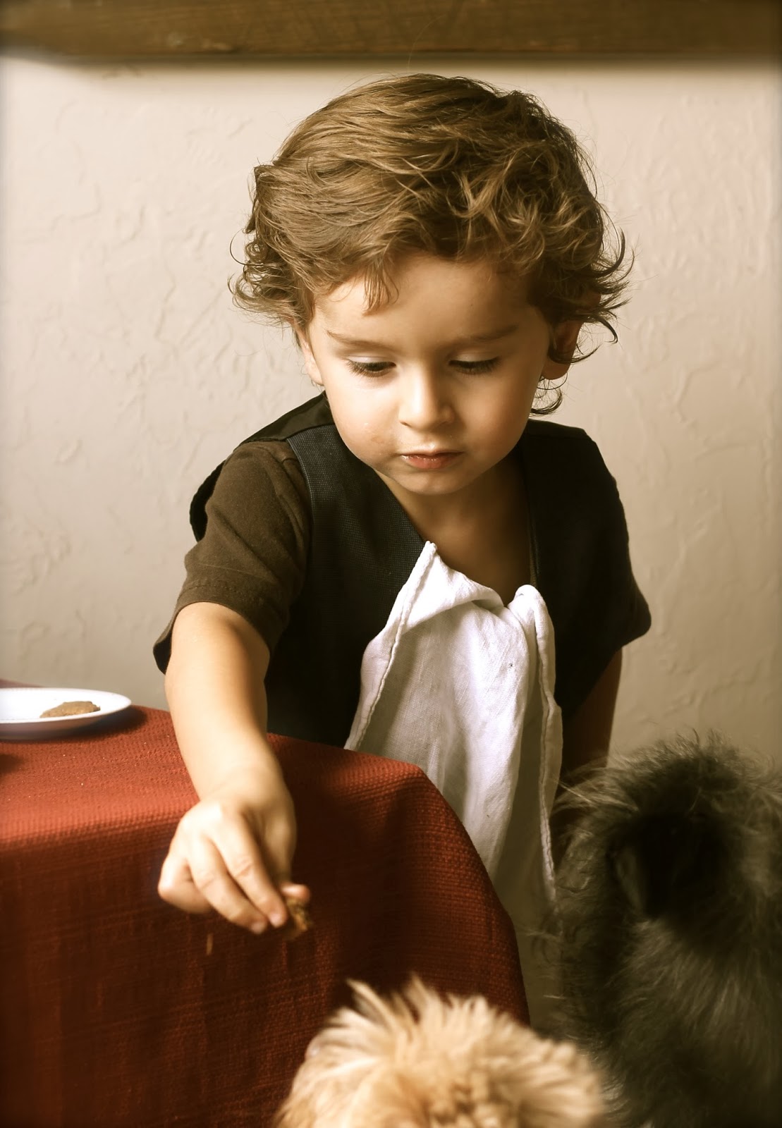 Where Your Treasure Is Animal Crackers and Cocoa to Drink