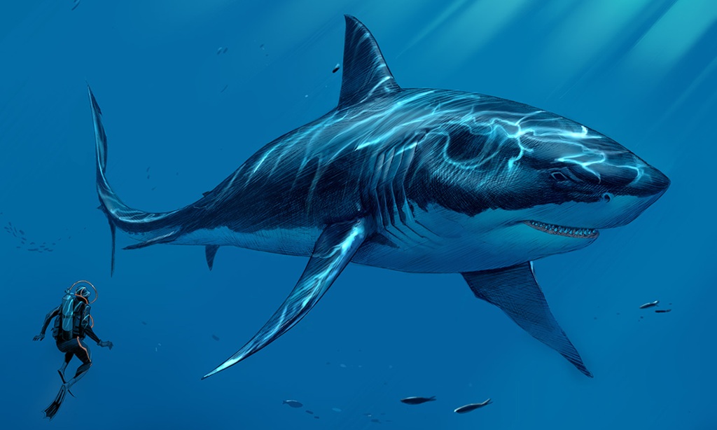 Michael Offutt: The absurdity of megalodon as an actual creature makes ...