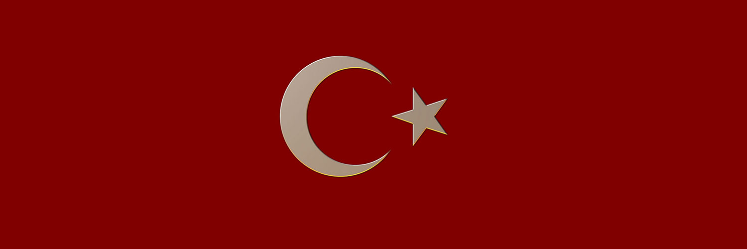 Twitter. turk bayragi 6