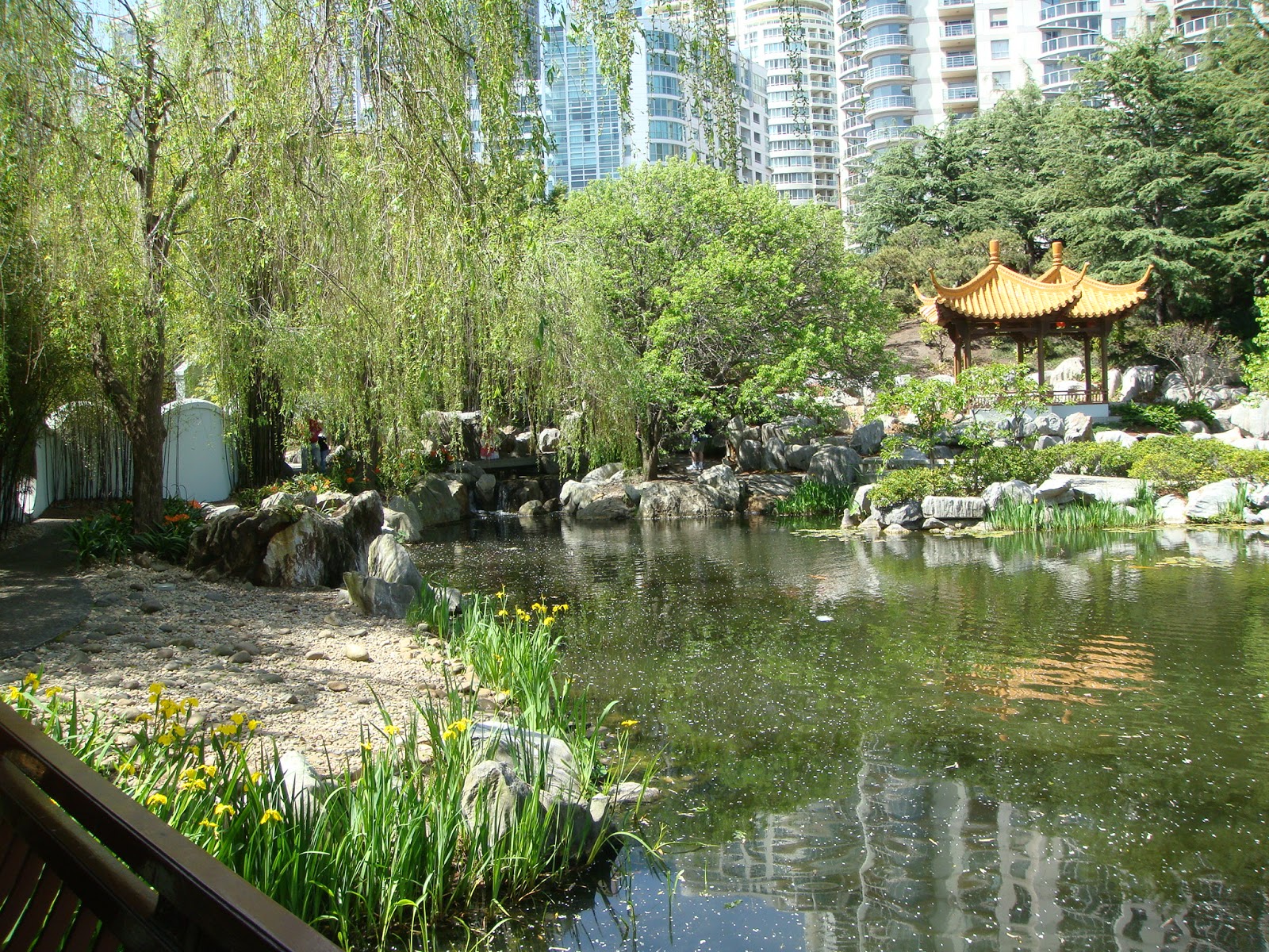 Sydney Life Chinese Garden of Friendship