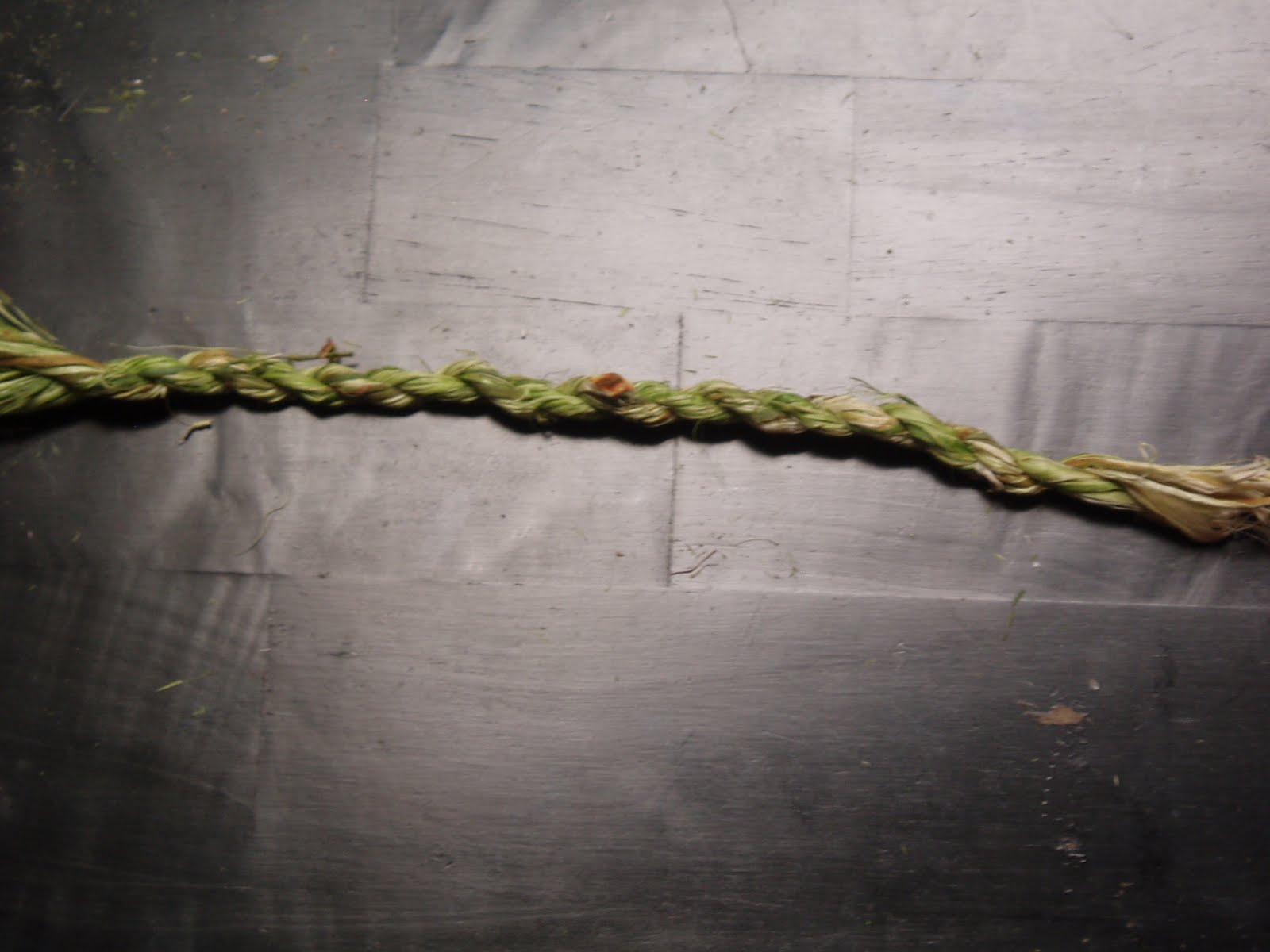 Making Cordage From Yucca Fibers