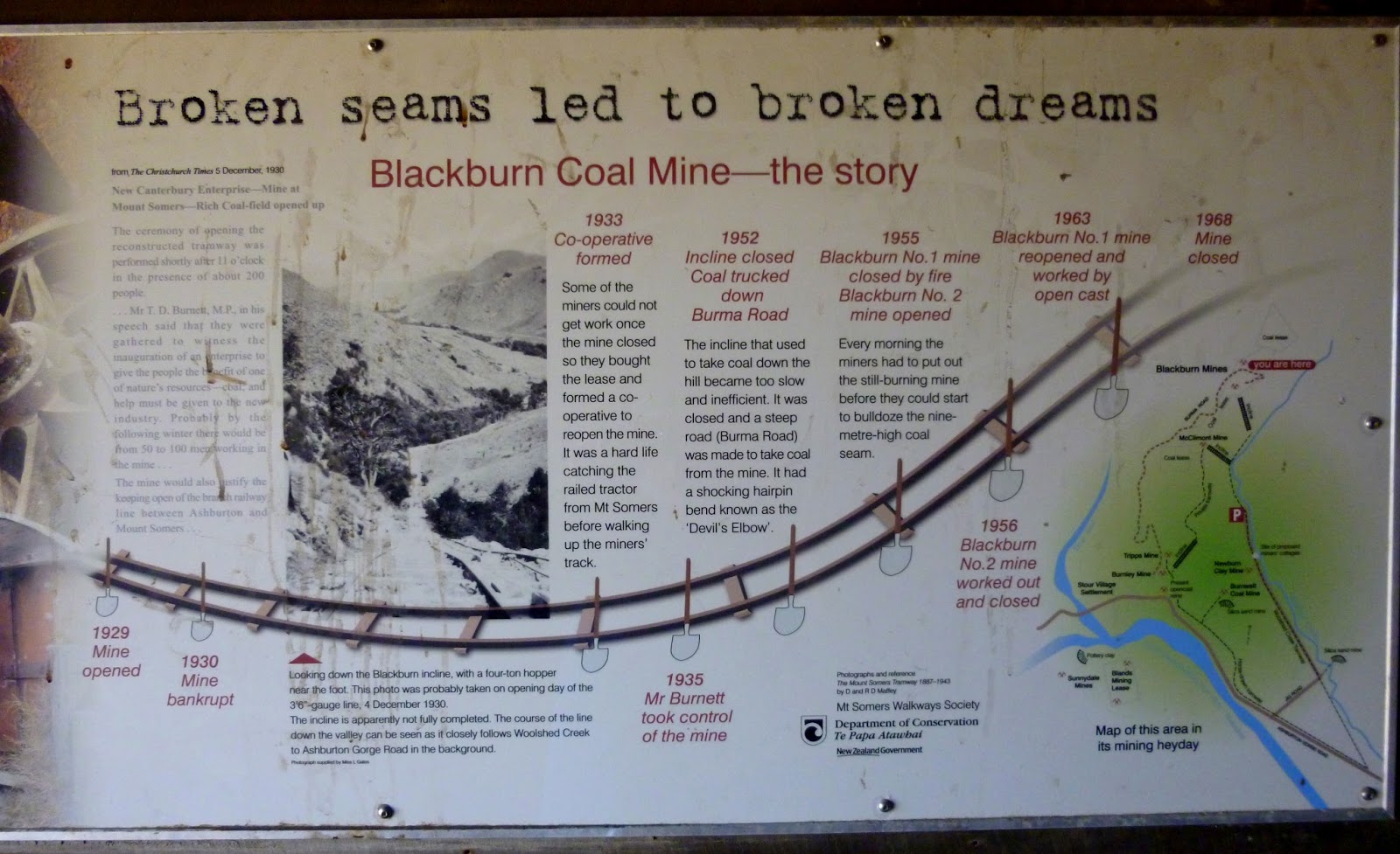 Emerging From The Undergrowth Otago Coast,Mackenzie Country,Hopkins