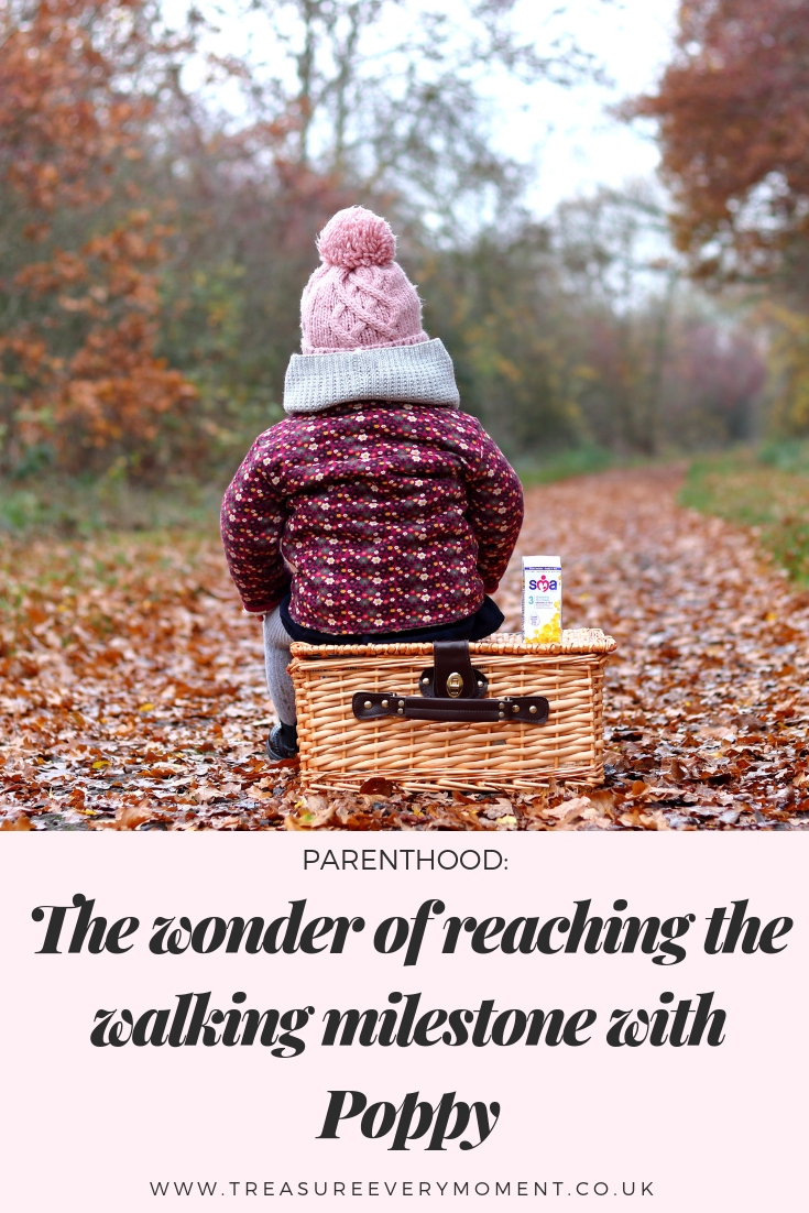 PARENTHOOD: The Wonder of Reaching the Walking Milestone with Poppy