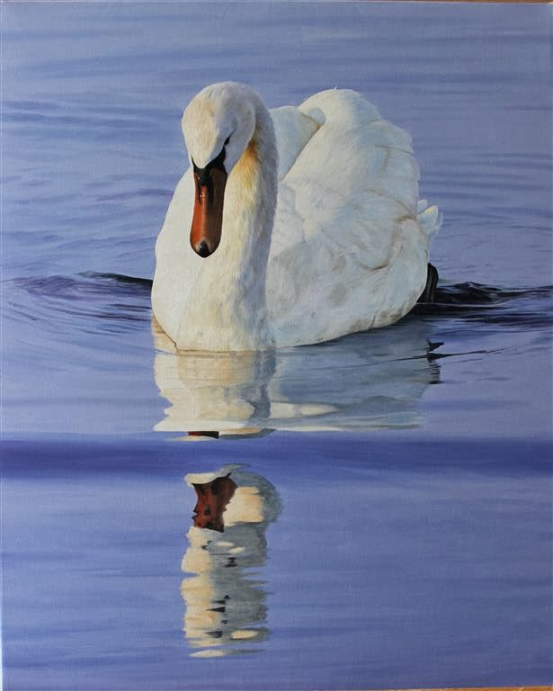 Clive Meredith Wildlife Art Mute swan painting update