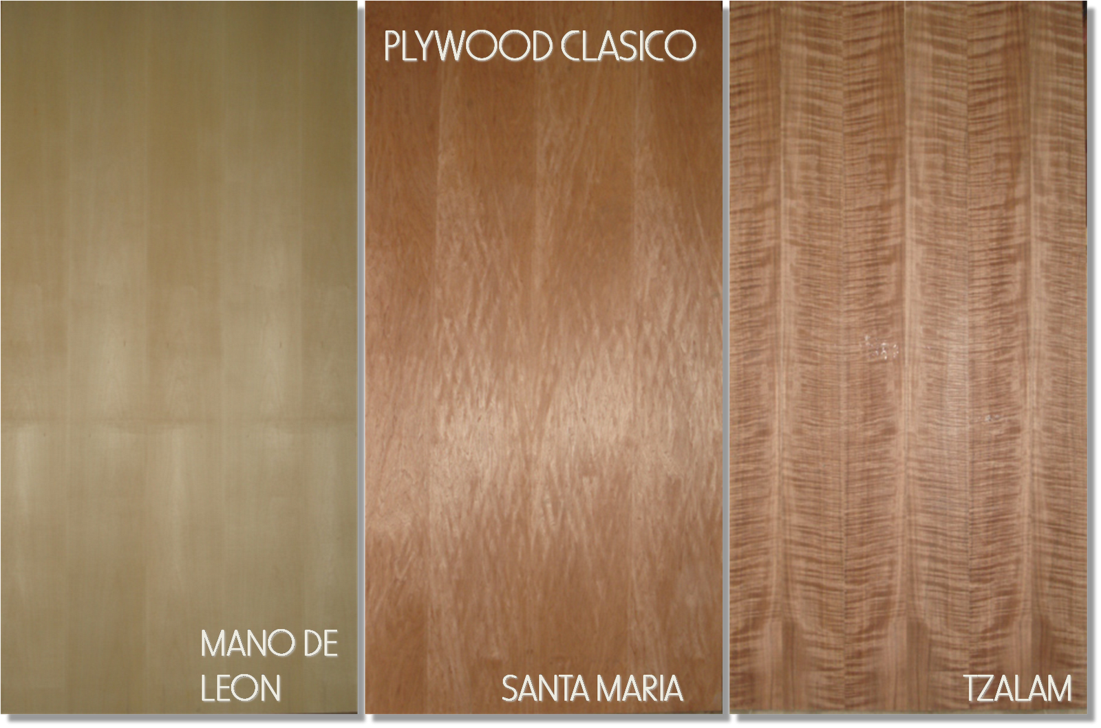 Baren Comercial PLYWOOD Y TABLEROS