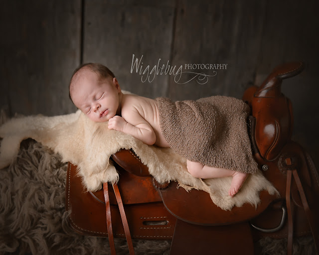 Newborn Baby Boy in the DeKalb IL photography studio of Wigglebug Photography 