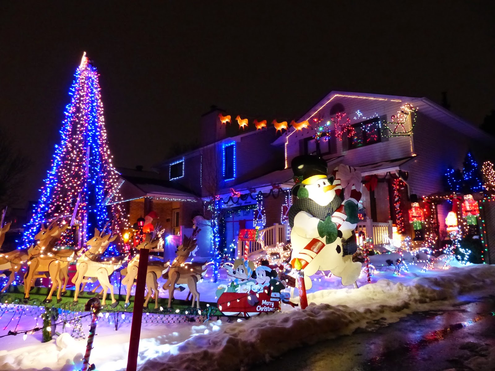 Արփի Սիմոնյան