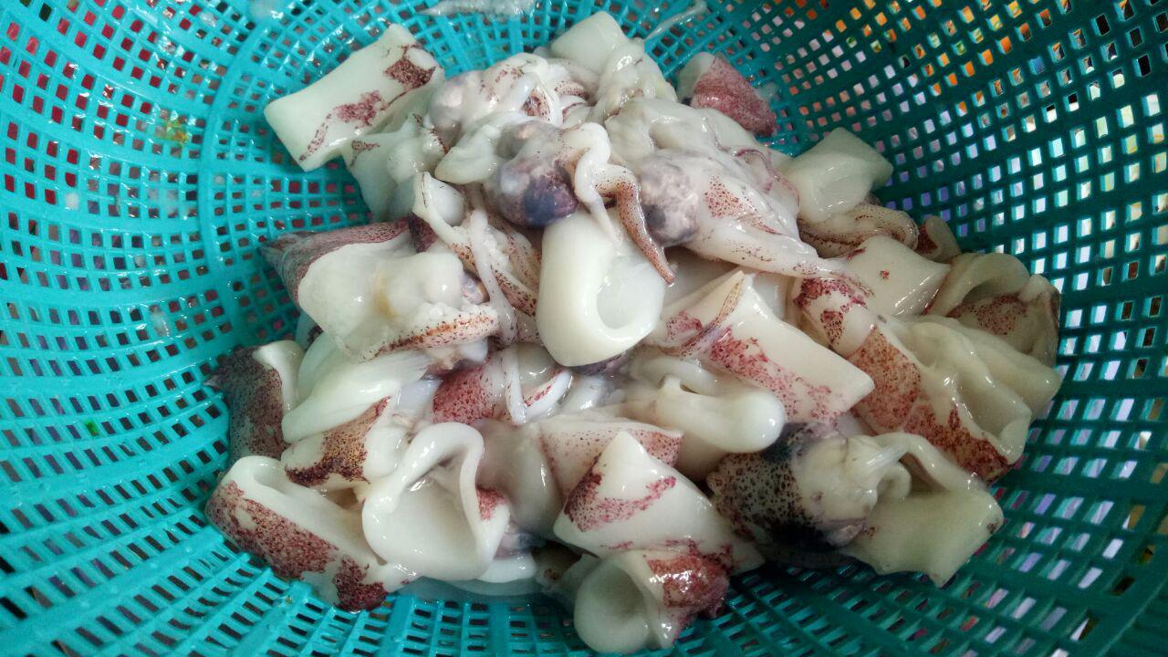 Sotong Goreng Tepung Mudah Dengan Tepung Bestari