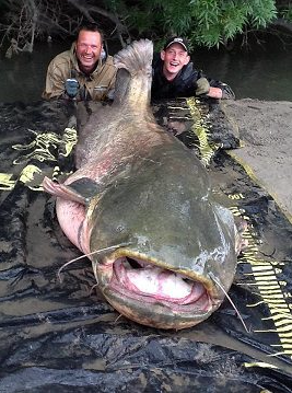 International Fishing ...