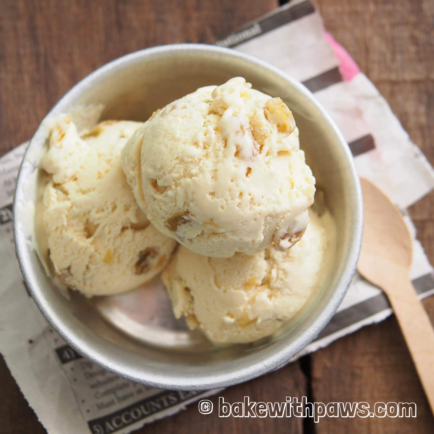 Rum Raisin Ice Cream BAKE WITH PAWS