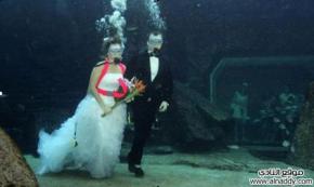 تايلاند - انت مدعو لحفل زواج تحت الماء