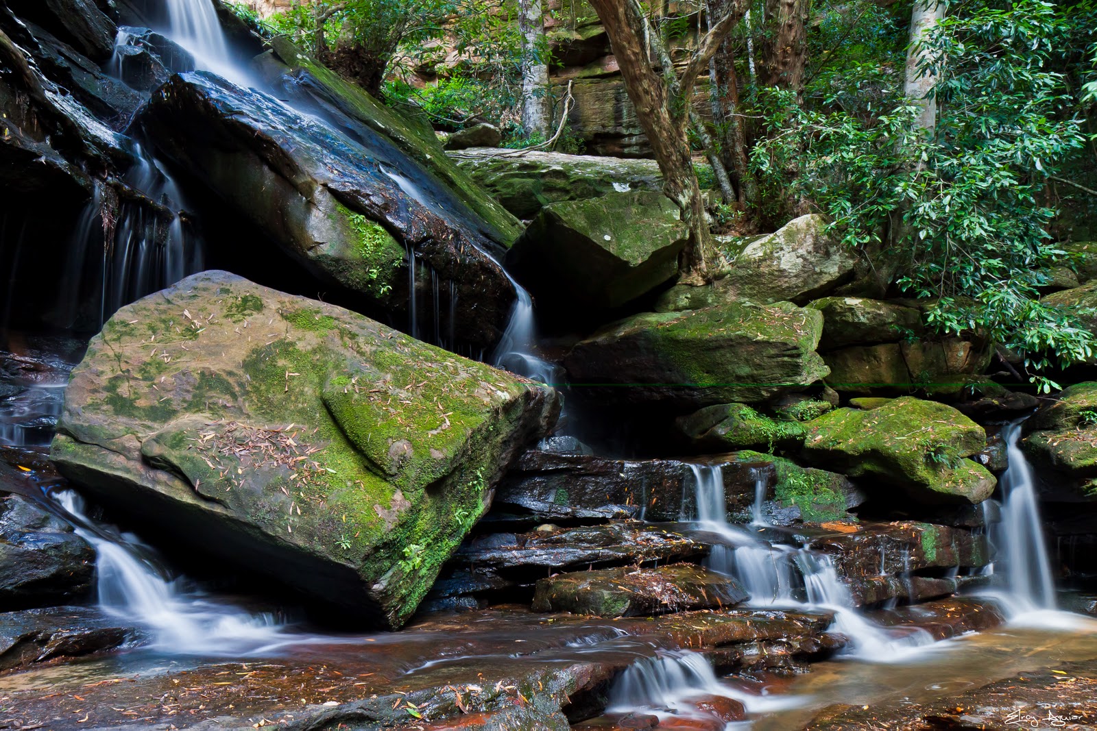 A View From The Lens Marge, Marge, the rains are here