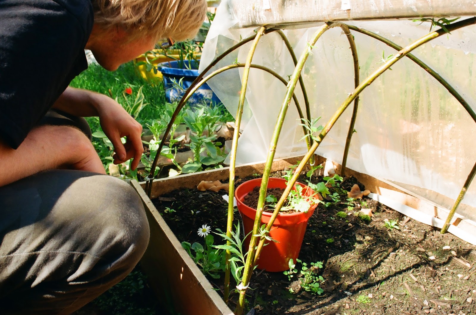 Willowbank Community Garden