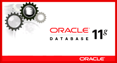 Oracle Database 11g Release 2