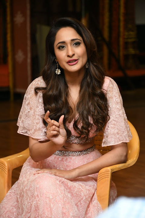 Pragya Jaiswal Stills At Om Namo Venkatesaya Press Meet