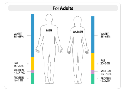 healthy body weight