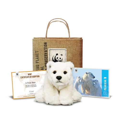 Christmas Charity Giving Chic Delights