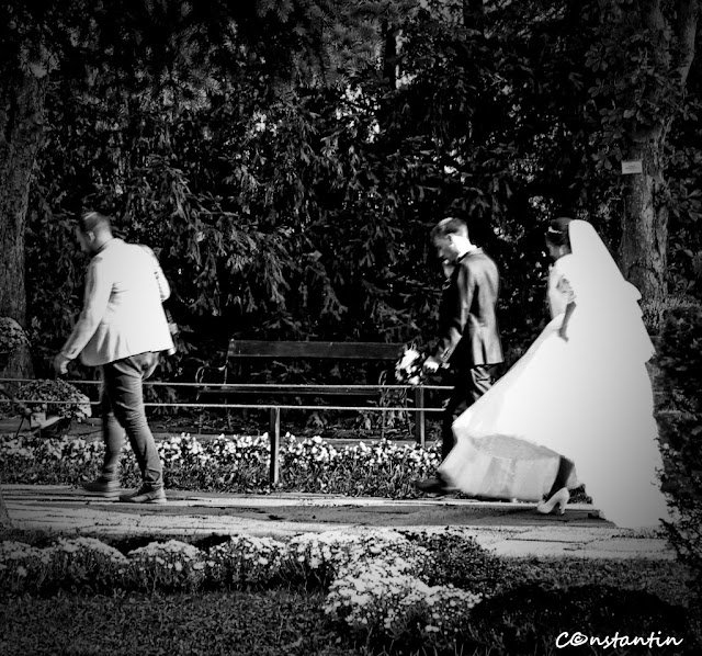 Wedding Photographer - foto Iasi