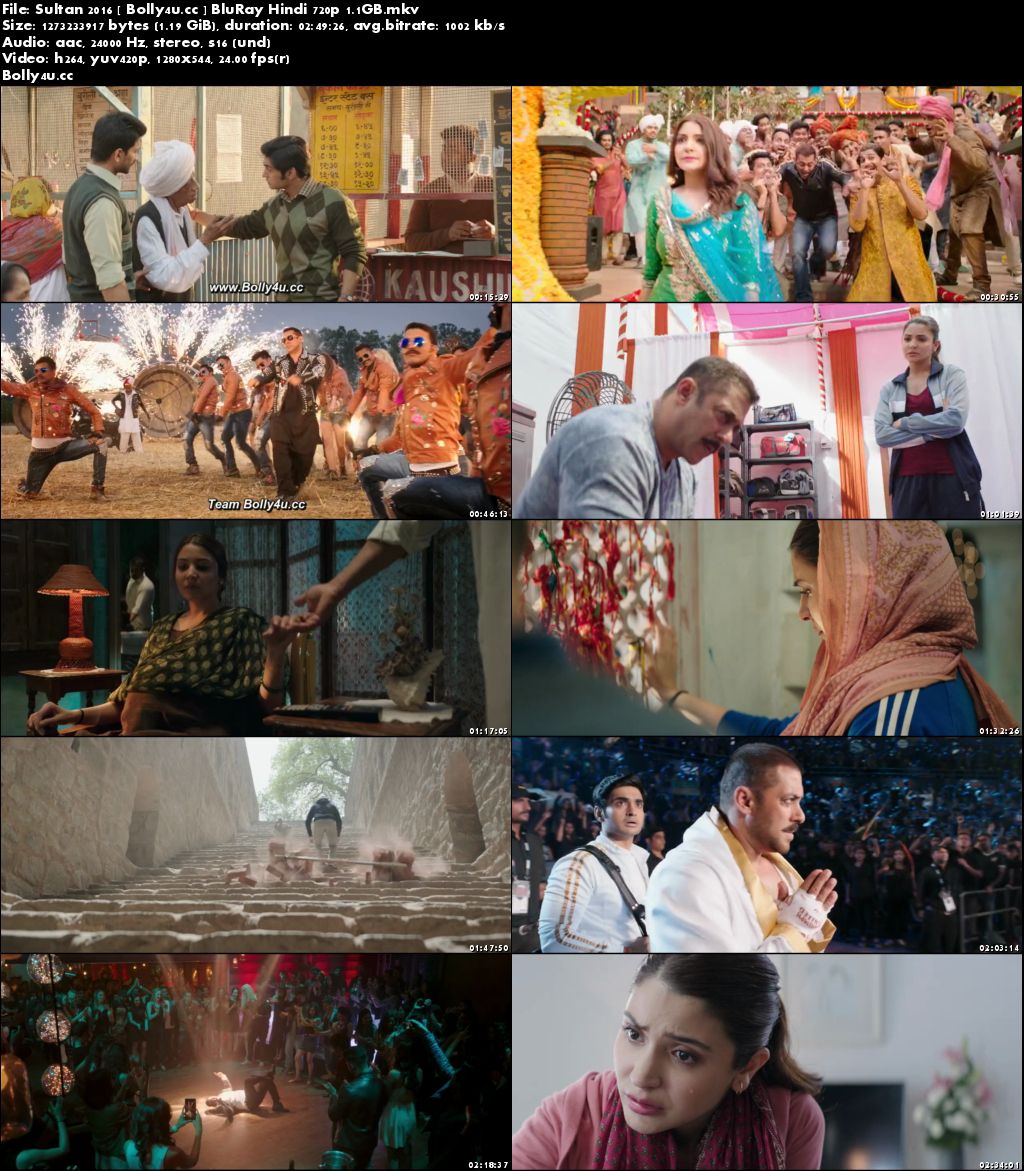 Sultan 2016 BluRay 500MB Full Hindi Movie Download 480p