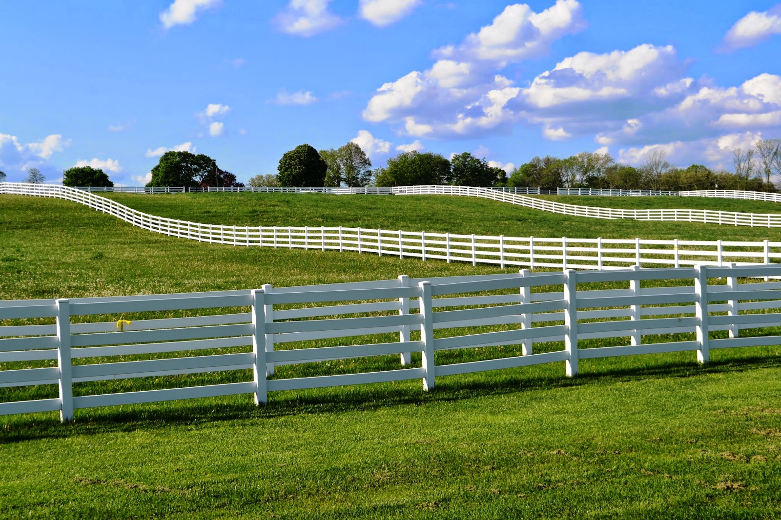 It's All About Purple Good Fences Edition 9