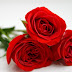 Puisi cinta romantis untuk pacar tersayang Puisi cinta romantis untuk pacar tersayang