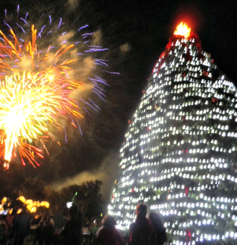 The Accidental RVers Christmas Tree Lighting Festival on Jekyll Island