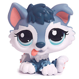 Littlest Pet Shop Small Playset Husky (#2036) Pet